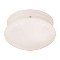 1-LT Fluorescent Flush Mount