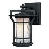 Oakville 1-LT Outdoor Wall Lantern