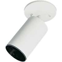 1-LT Ceiling Mount