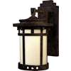 Santa Barbara Dark Sky 1-LT Outdoor Wall Lantern