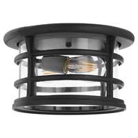 2-Light Outdoor Ceiling Mount