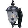 Carriage House DC 2-LT Outdoor Wall Lantern
