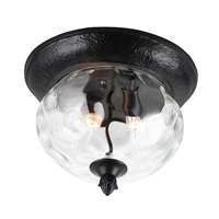 Carriage House DC 2-LT Outdoor Flush Mount