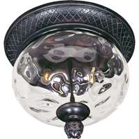 Carriage House 2-LT Outdoor Flush Mount