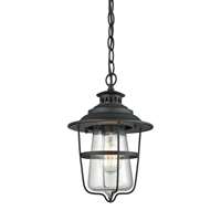 ELK San Mateo 1 Lt Outdoor Pendant In Textured Matte Black w/ Clear Seedy Glass - 45121/1