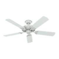 52" Outdoor Ceiling Fan