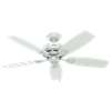 48" Outdoor Ceiling Fan