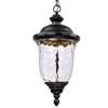 Carriage House LED Outdoor Hanging Lantern