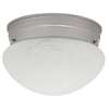 2-Light Flush Mount