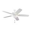 60" Ceiling Fan