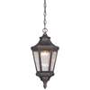 1-LT Outdoor LED Chain Hung Lantern