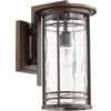 Larson 9" Clear Outdoor Lantern