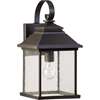 Pearson 9" Outdoor Wall Lantern