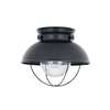 1-LT Outdoor Ceiling Flush Mount