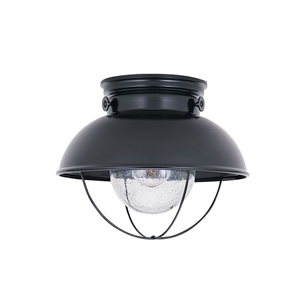 1-LT Outdoor Ceiling Flush Mount