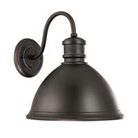 1-Light Outdoor Wall Lantern