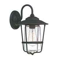 1-Light Outdoor Wall Lantern