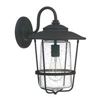 1-Light Outdoor Wall Lantern