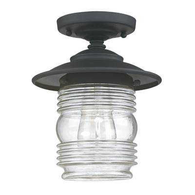 1-Light Outdoor Flush Mount