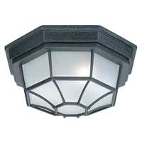 2-Light Outdoor Flush Mount