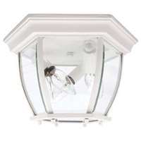 3-Light Outdoor Flush Mount