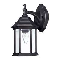 1-Light Outdoor Wall Lantern