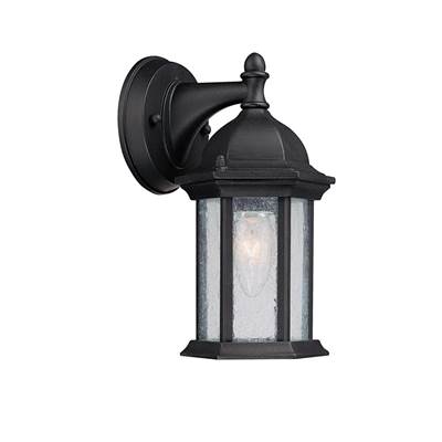 1-Light Outdoor Wall Lantern