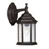 1-Light Outdoor Wall Lantern