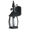 1-Light Outdoor Wall Lantern