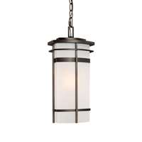 1-Light Outdoor Hanging-Lantern