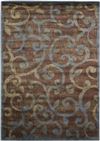 Expressions Multicolor Area Rug