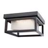 Outdoor Ceiling Light