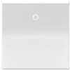 Legrand adorne White Paddle Switch in White Finish - ASPD2032W4