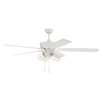 60" LED Outdoor Ceiling Fan