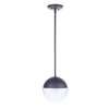 1 Light Outdoor Pendant