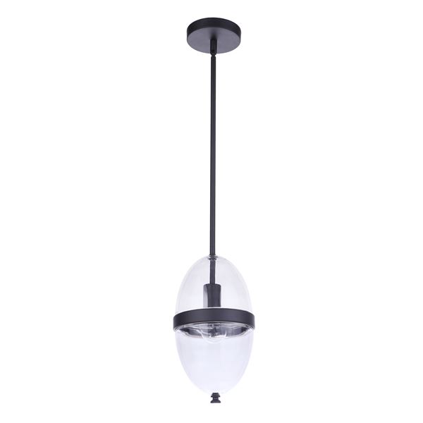 1 Light Outdoor Pendant