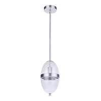 1 Light Outdoor Pendant