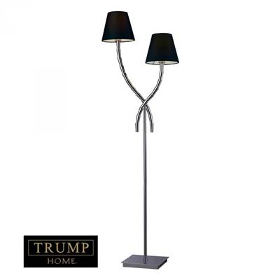 Dimond  Two Light Floor Lamp D1474