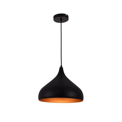 Circa Collection Pendant Black Finish