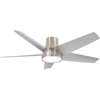 58" LED Outdoor Ceiling Fan