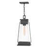 Outdoor Hanging Light