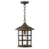 Outdoor Hanging Light