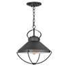 Outdoor Hanging Light