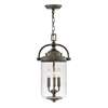 Outdoor Hanging Light