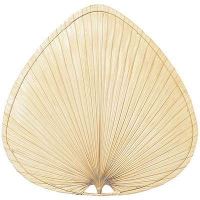 22 inch Wide Oval Palm Blades