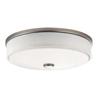 Ceiling Space 13" LED Flush Mount