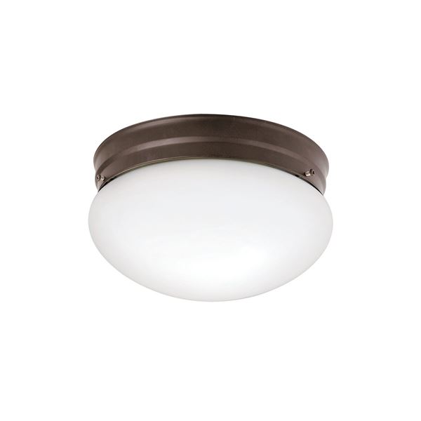 Ceiling Space 2-LT Flush Mount