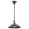 Cobson 1-LT Convertible Pendant