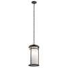 Toman 10" 1-LT Pendant with LED Bulb