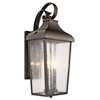 Forestdale 21.5" 2-LT Wall Light